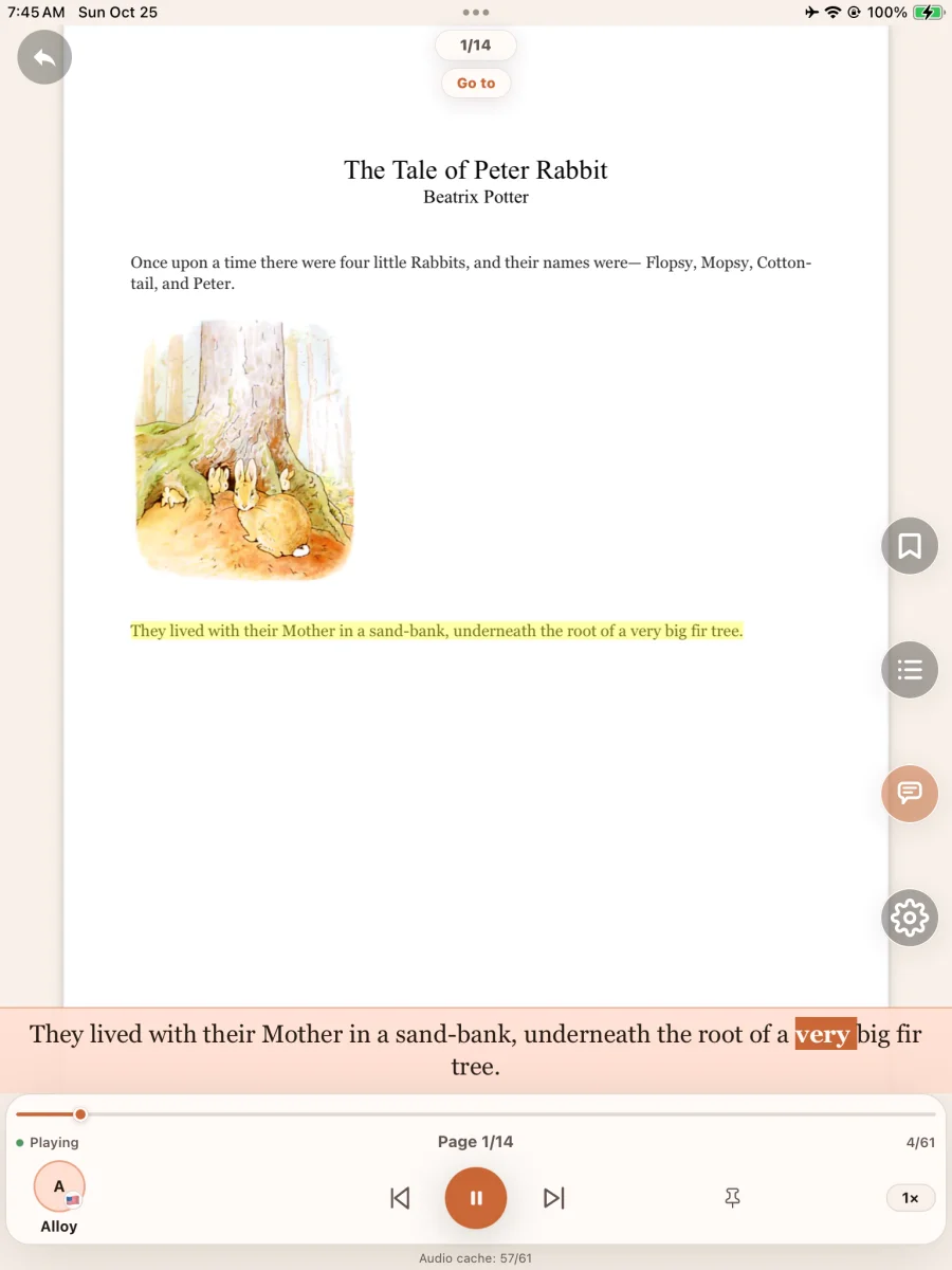 The original PDF, with the spoken sentence highlighted.